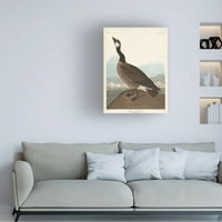 John James Audubon 'Hutchinss Barnacle Goose' Canvas Art