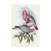 Védjegy Képzőművészet 'pasztell papagájok iii' vászon művészete, John Gould