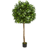 Majdnem természetes 5.5 ft. Ficus Mesterséges Fa