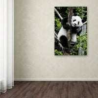 Védjegy Képzőművészet Óriás Panda II Canvas Art készítette: Philippe Hugonnard