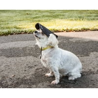 Kisállat élet 'Cap-Tivating' UV Protectant állítható divat kutya kalap sapka