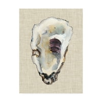 Képzőművészet „Oyster Shell Study III” vászon művészete, Michael Willett