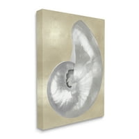Stupell Industries Glam nautilus héj puha szürke semleges a bézs vászon fali művészete, 20, tervezés, Caroline Kelly
