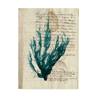 Védjegy képzőművészet 'Vintage Teal Seal Weed II' Canvas Art készítette a Vision Studio