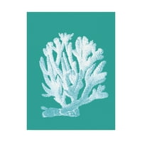 Védjegy Képzőművészet „Korallfehérje a türkiz” vászon művészete, Fab Funky