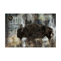 Védjegy Szépművészeti „Buffalo Abstract” vászonművészet Marta Wile