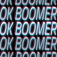 Ok Boomer Fali Poszter, 22.375 34