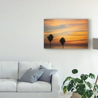 Védjegy Szépművészet 'Sunset Palm III' vászon művészete: Laura Marshall