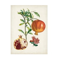 Pierre Antoine Poiteau 'Grenadier A Fruit Doux' vászon művészet