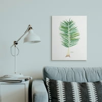 Stupell Industries Coconut Palm rajongói növényzet a White Canvas Wall Art, 30, Design, Melissa Hyatt LLC