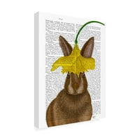 Fab Funky 'Naffodil Rabbit Book Print' vászon művészet