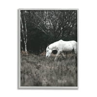 Stupell Industries vidéki monokróm rétek fák fehér ló legeltetés keretes fal művészet, 30, tervezés: Amy Brinkman