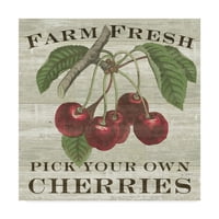 Védjegy Képzőművészet 'Farm Fresh Cherries Square' vászon művészete: Sue Schlabach