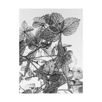 Védjegy Szépművészeti „Leaf Composition Fabrikken 'Canvas Art By Design Fabrikken