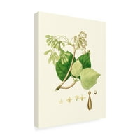 Ismeretlen „tavaszi zöld lombozat iv” vászon művészet