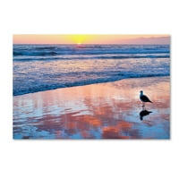 Védjegy Szépművészet 'Velence Beach Sunset' vászon művészete: Lori Hutchison