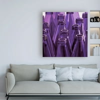 Védjegy Szépművészet 'Purple Ring Dobs' vászon művészete, Roderick Stevens