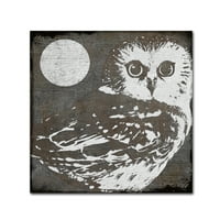 Védjegy Képzőművészet Owl 3 vászon művészet, Color Bakery