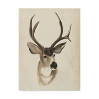 Védjegy Szépművészeti „Akvarell állati tanulmány ii” vászon művészete: Grace Popp