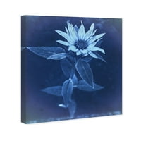 Wynwood Studio virág- és botanikus fali art vászon nyomatok 'Virág nap nyomtatott cianotípus' Florals - Kék, Fehér