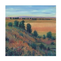 Tim Otoole 'Hilltop View I' Canvas Art