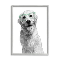 Stupell Industries monokróm arany retriever kutya mosolygós szemüveg tervezés 30, tervezés: Annalisa Latella