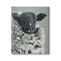 Stupell Industries Vintage Dorper juhok állati állati bozontos szőrme, 40, Suzi Redman tervezése