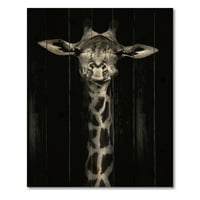 Designart 'Portré egy zsiráf monokrómban' parasztház nyomtatás természetes fenyőfán