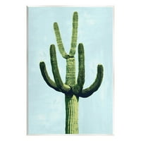 Kaktusz növény száraz vegetáció botanikai és virággrafikus művészet, keret nélküli művészet nyomtatási fal művészet