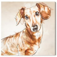 Wynwood Studio Animals Wall Art vászon nyomtatványok „akvarell tacskó” kutyák és kölyökkutyák - barna, fehér