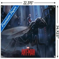 Marvel Cinematic Universe - Ant -Man - Ant Wall poszter push csapokkal, 14.725 22.375