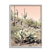 Stupell Industries nyári desszert táj kaktusz tüskés körte rózsaszín ég, 30, Susan Bryant tervezése