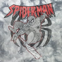 Spider-Man fiúk szüreti grafikus longsleeve póló, 2-csomag, méret 4-18
