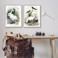 Stupell Industries vad pelikán madarak madárvízi tájkép grafikus art szürke keretes művészet nyomtatott fali művészet, 2 -es