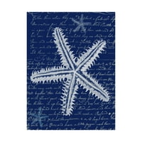 Védjegy képzőművészet 'fehér tengeri csillag a kék a' vászon művészete, Fab Funky