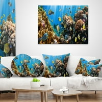Designart Coral Colony Panorama - Photography Dring Pille - 12x20