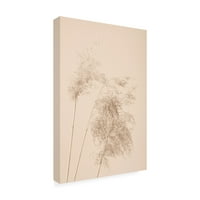 Studio III 'Reed Grass Bézs 07' Canvas Art