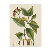 Védjegy Szépművészet 'Crimson Botanical I' Canvas Art készítette: Hierseman