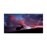 A Darren White Photography védjegye képzőművészet 'Sunset a Rockies jávorszarvasban' vászon művészete