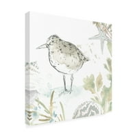 Június Erica Vess 'Seaside Sandpipers IV' Canvas Art