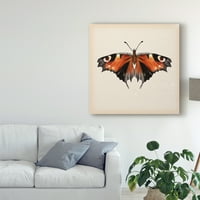 Védjegy Szépművészeti 'pillangó tanulmány v' vászon művészete: Melissa Wang