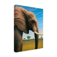 James W. Johnson, az elefánt elefánt vászon művészete