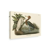 Védjegy Szépművészet 'Reddish Egret' vászonművészet, John James Audubon