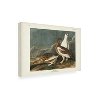 John James Audubon 'Rock Grouse' vászon művészet