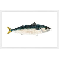 Marmont Hill Kéttónusú halak, Michael Pantalos keretes festménynyomtatás