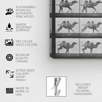 Wynwood Studio nyomtatott állati és rovarok vászon művészeti nyomtatás