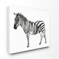 Stupell Industries Zebra állva fekete -fehér akvarell állati festmény vászon fali művészet, 30, Byjennifer Goldberger