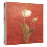 Képek, fehér tulipák pirosra