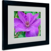 Védjegy Szépművészet Purple Flower, Monica Fleet, fekete keret