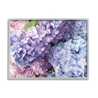 Pasztell hortenzia virágszirmok Botanikus és virágfotó szürke keretes művészeti nyomtatási fal művészet